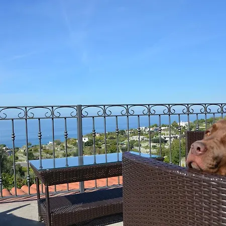 مزرعة للإقامة La Pergola Forio di Ischia