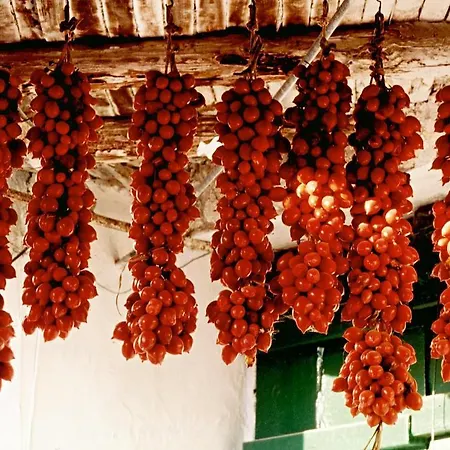 مزرعة للإقامة La Pergola