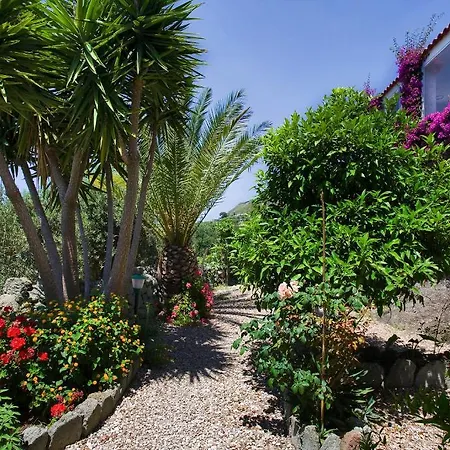 Farmház La Pergola Forio di Ischia